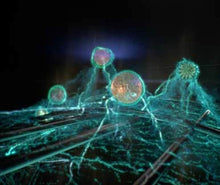 Lade das Bild in den Galerie-Viewer, Ersatzfilter zu Blueair HealthProtectTM 7470i
