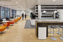 Lade das Bild in den Galerie-Viewer, Luftreiniger Blueair Pro L
